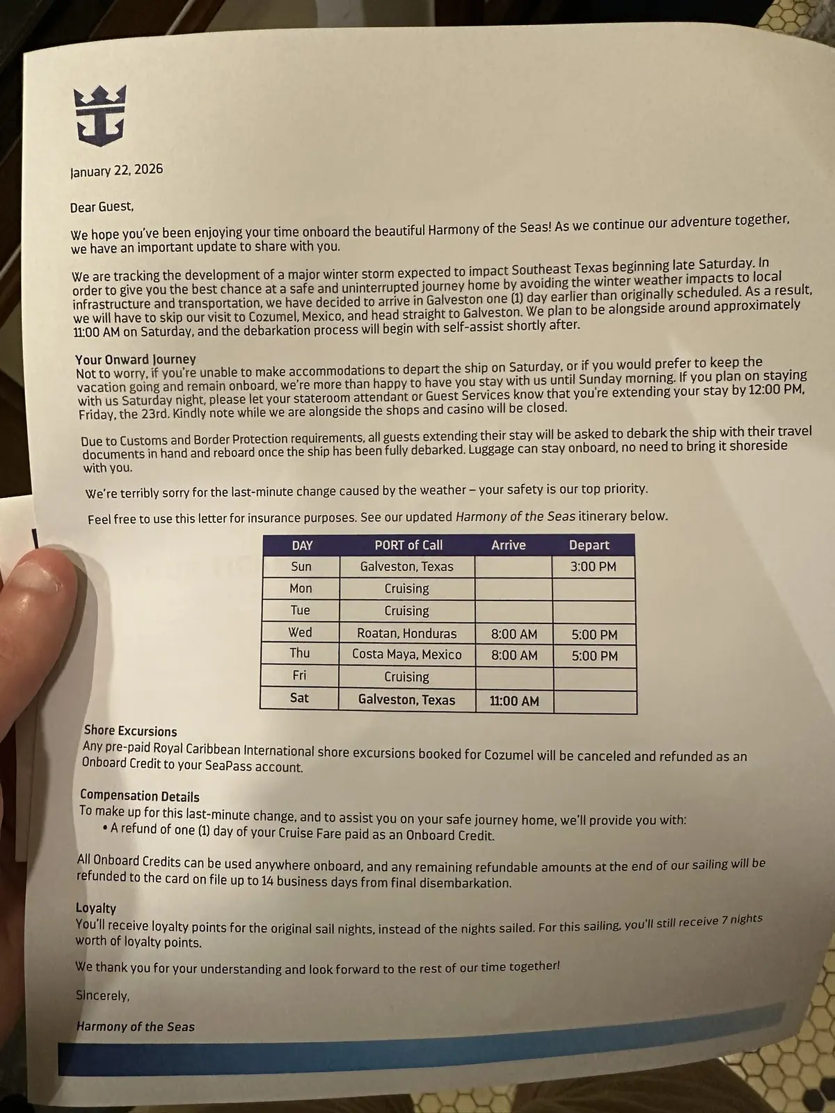 Harmony Winter Storm Fern Letter