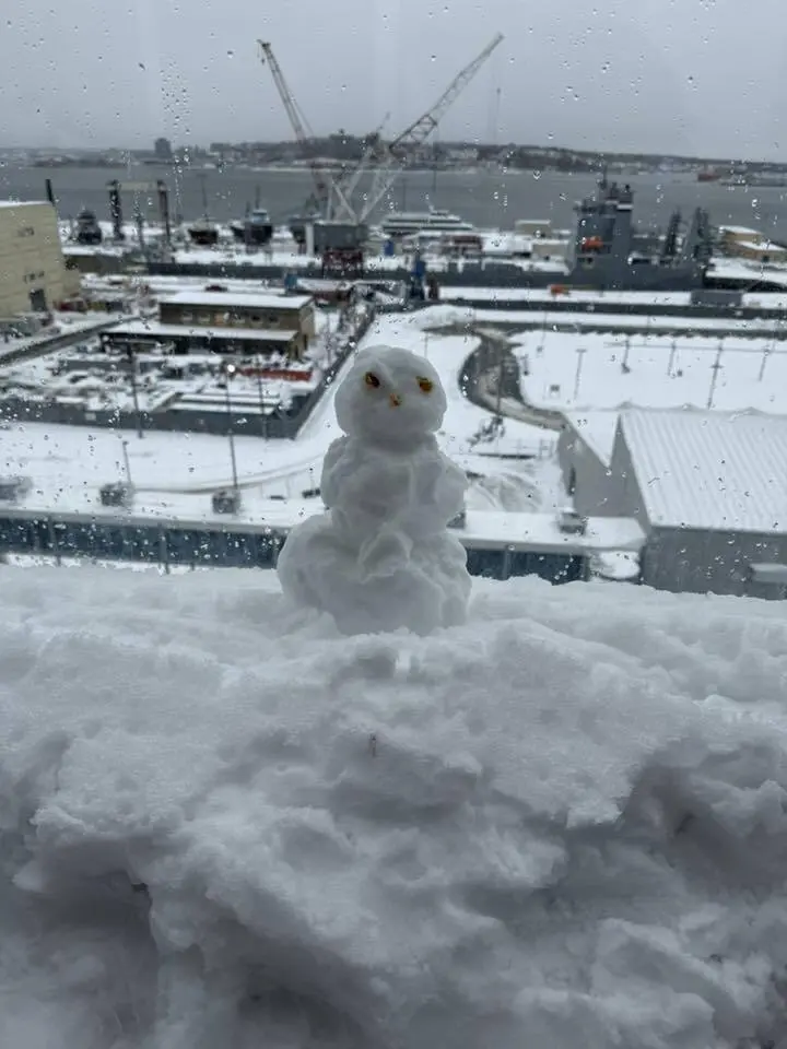 Ashley Langenfeld Snowman on Odyssey Ashley Langenfeld Snowman on Odyssey