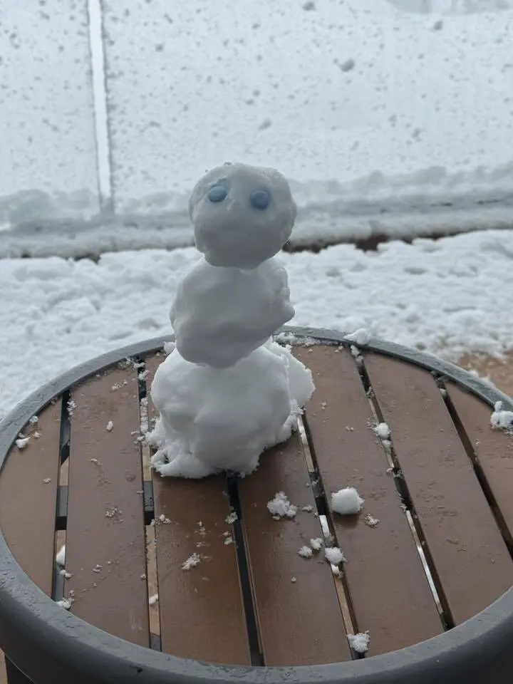 Kelly Ann Snowman Odyssey of the Seas Kelly Ann Snowman Odyssey of the Seas