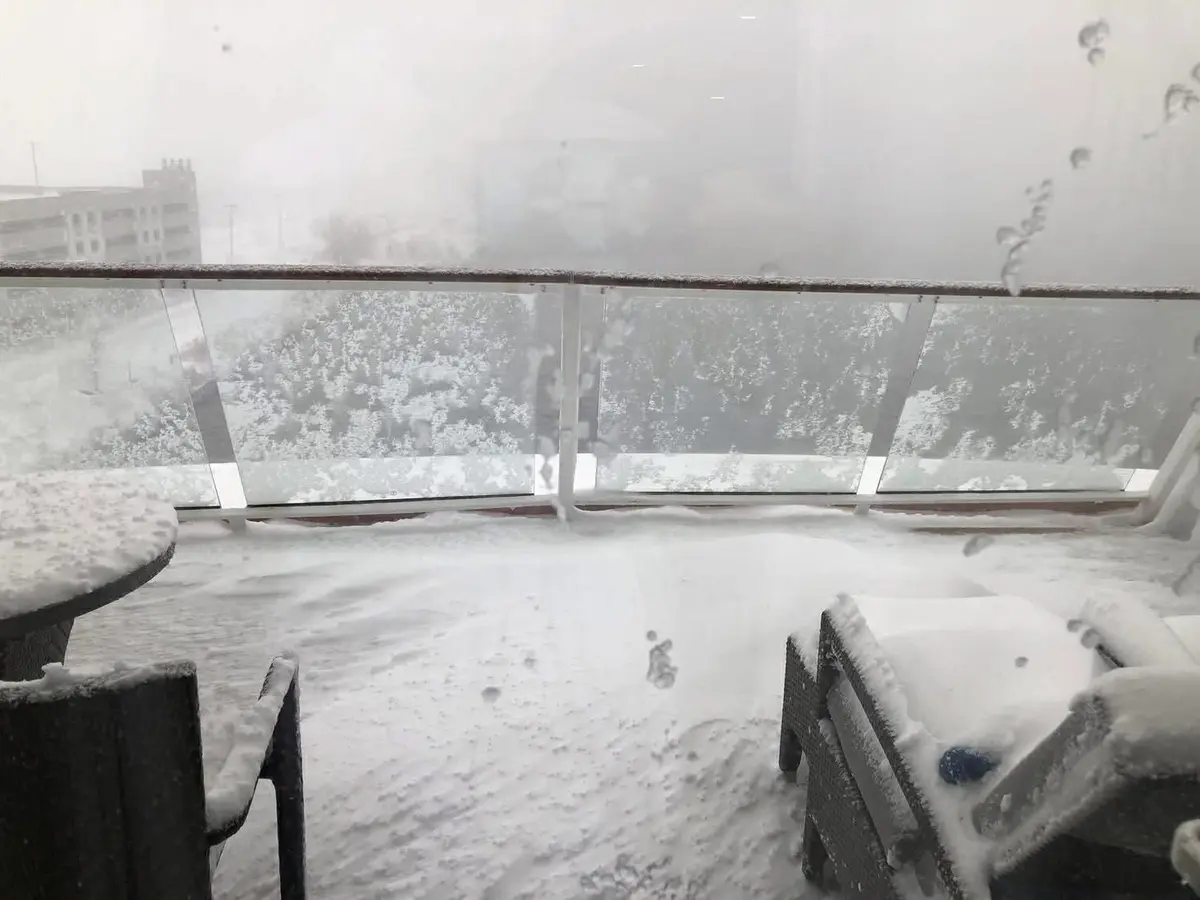 Odyssey of the Seas in the snow