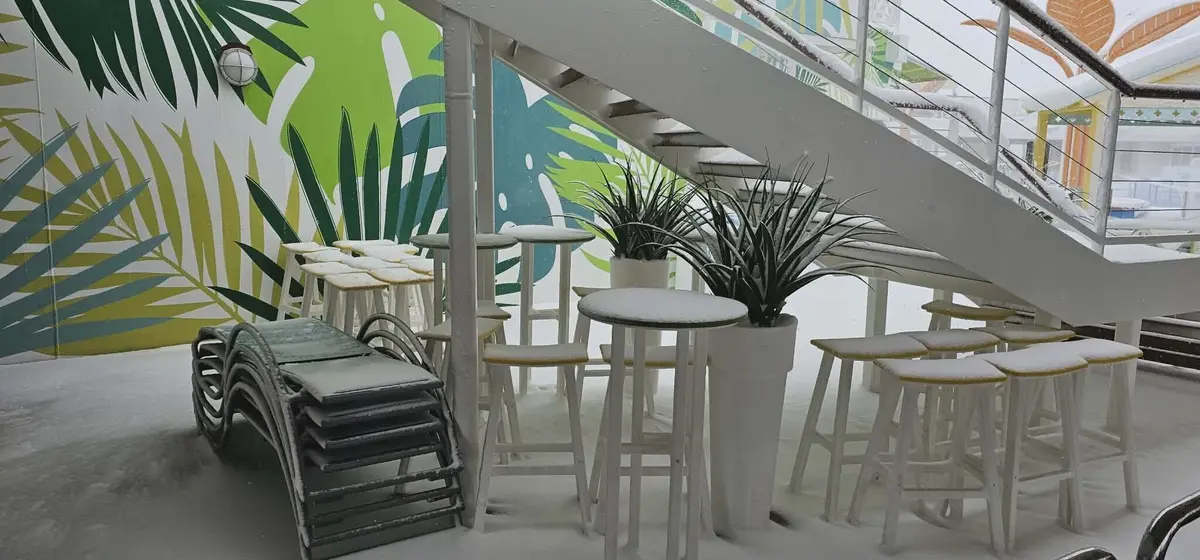 Odyssey of the Seas in the snow