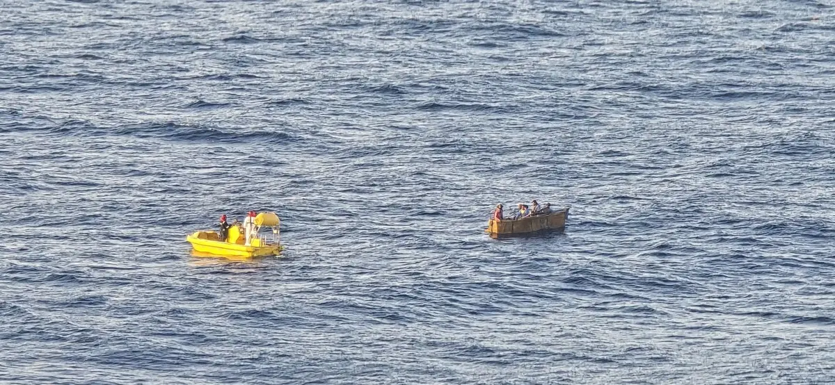 Radiance Rescue Hoglander FB Credit