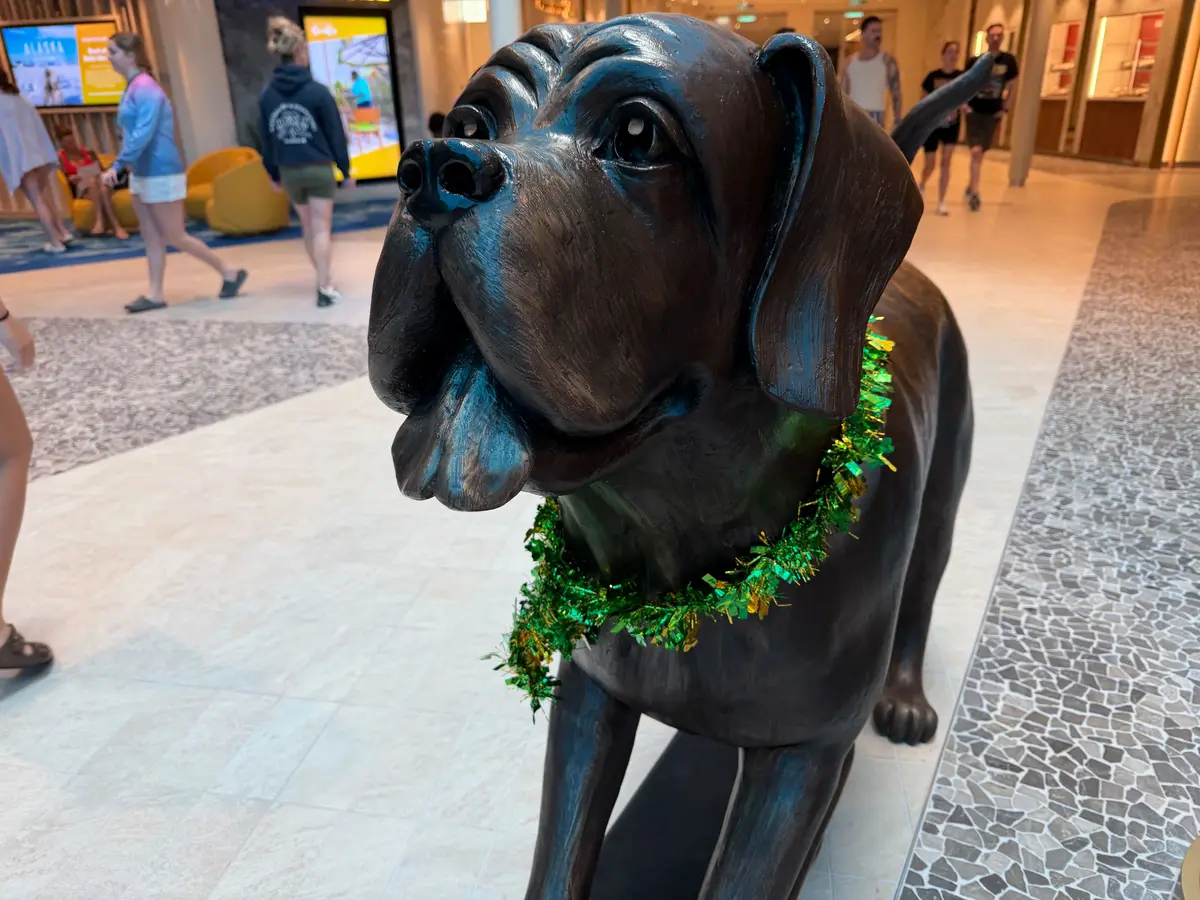 St. Patrick's Day on Star of the Seas