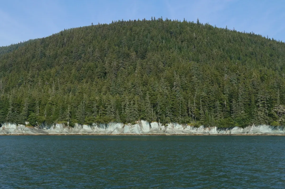 Tongass National Forest