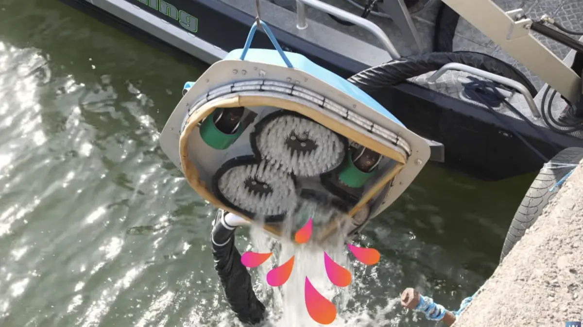 Hull scrubbing robot