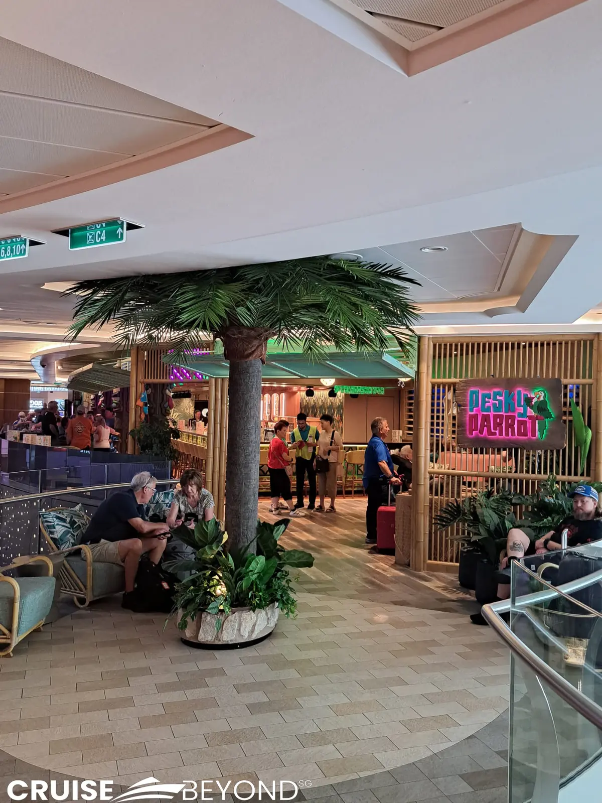 Pesky Parrot on Ovation of the Seas