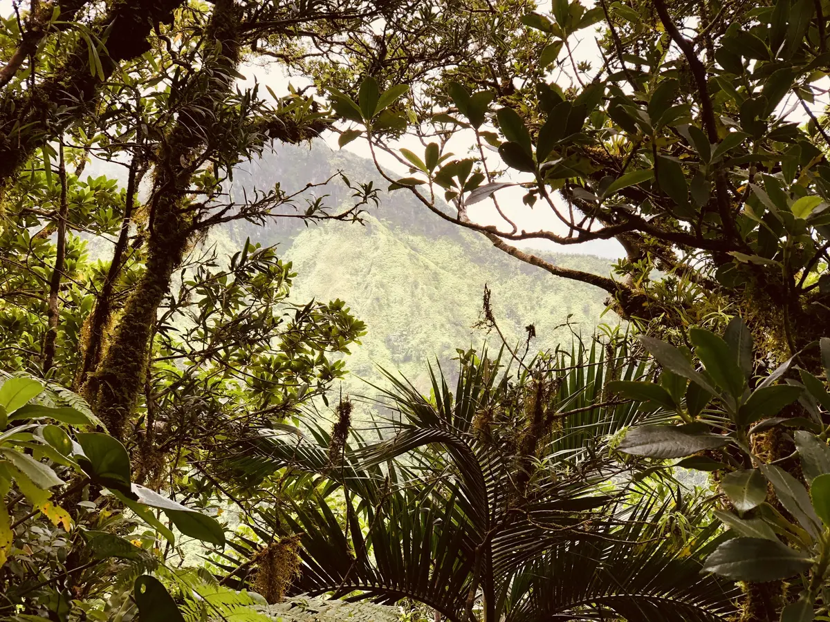 St Kitts Volcano