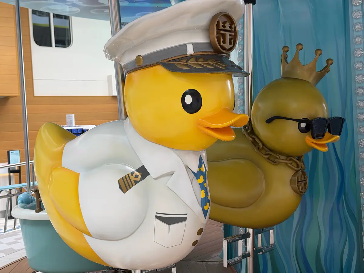 Duck caorusel