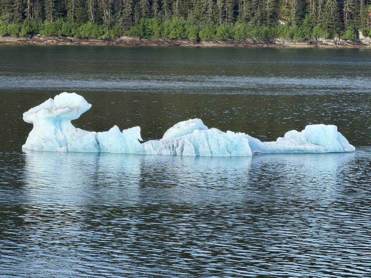 Floating ice