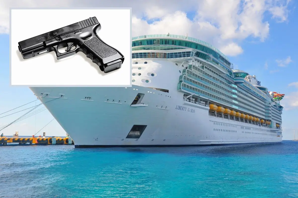 Liberty-Gun-Arrest-Grandmother-Hero