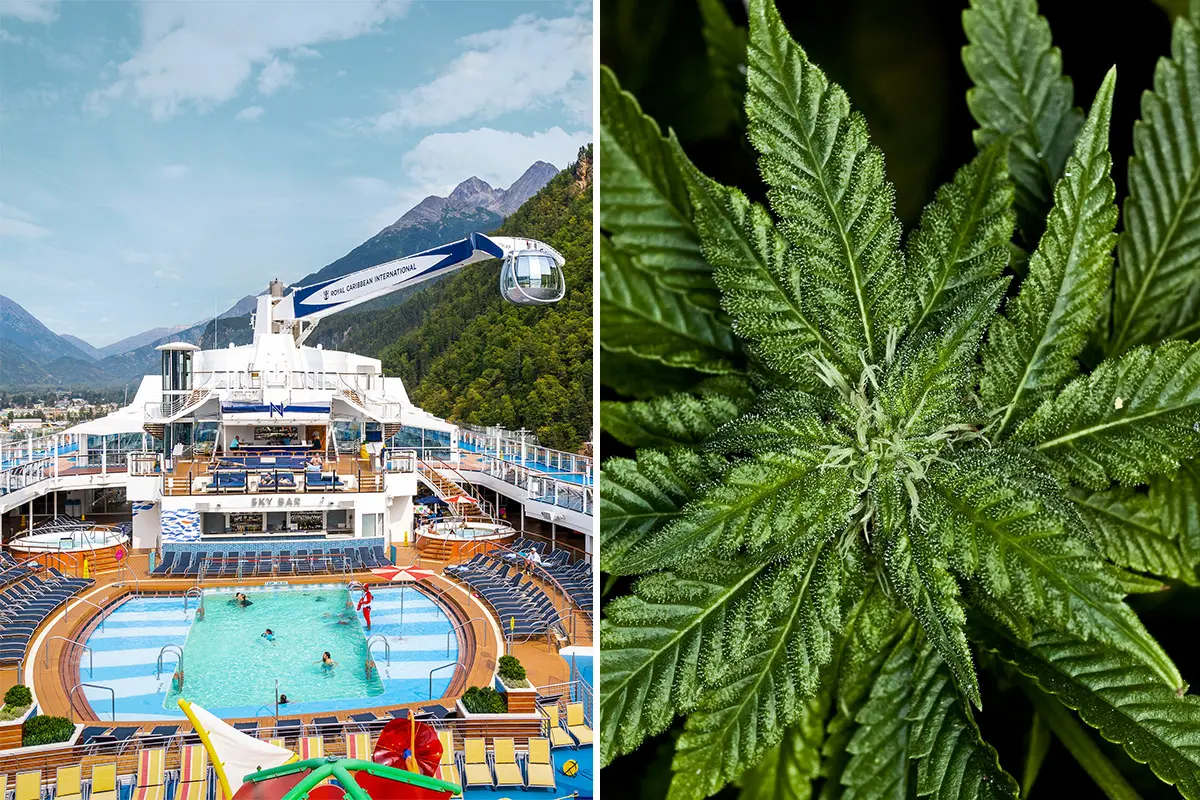 Marijuana on a cruise?